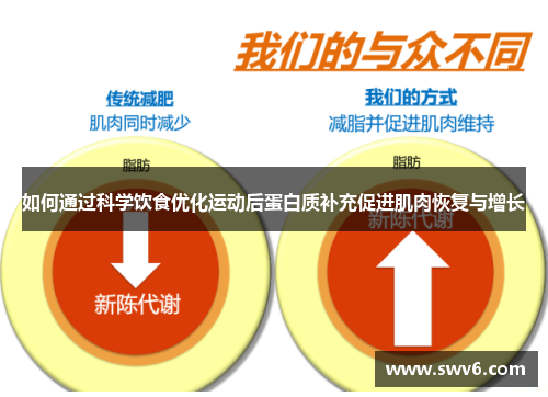 如何通过科学饮食优化运动后蛋白质补充促进肌肉恢复与增长